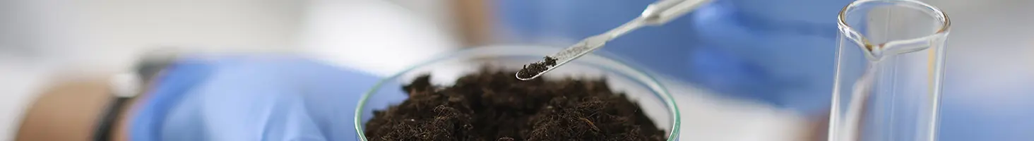 Scientist checking soil for nitrates