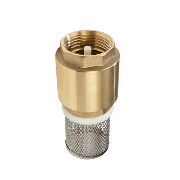 A brass non return valve with strainer