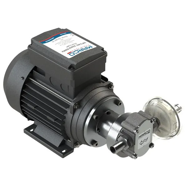 A Macro UP6 AC gear Pump.