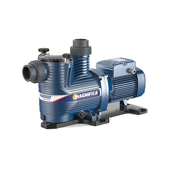 A photo of a pedrollo magnifica, swimming pool pump.