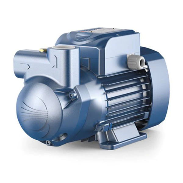 Pedrollo CK Self-Priming Liquid Ring Pump. A picture of a Pedrollo CK pump. The pump has a top and side opening. It's main features are double anti-seize inserts. Suitable for use with clean water or liquids that do not contain abrasive particles.