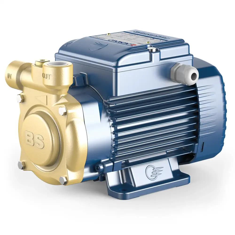Pedrollo PQ-BS Pumps with Peripheral Impeller PQ65-BS Single Phase