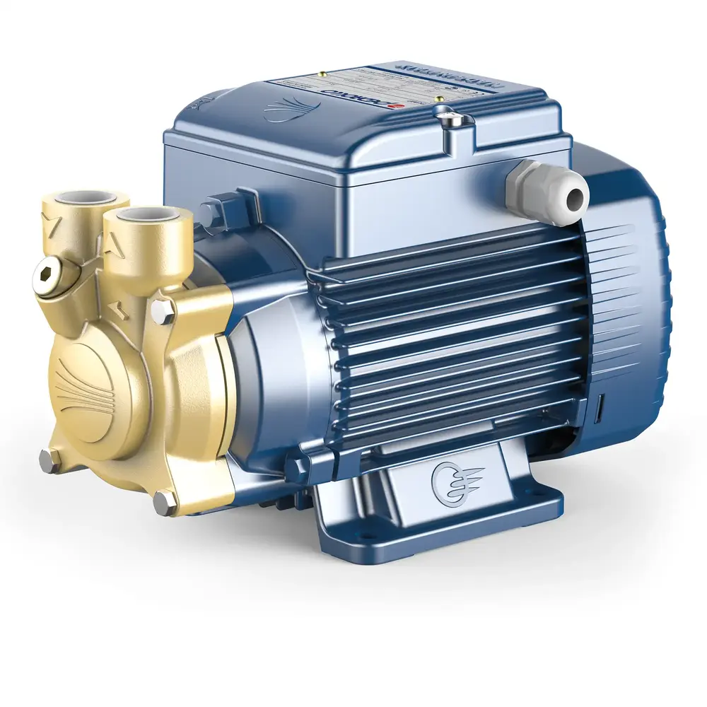 Pedrollo PV Pumps with Peripheral Impeller PV60 Three Phase