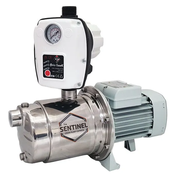 A Pedrollo Sentinel pump with controller